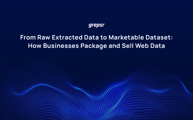 From Raw Extracted Data to Marketable Dataset: How Businesses Package and Sell Web Data