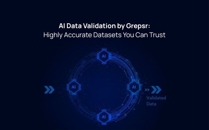 AI Data Validation by Grepsr